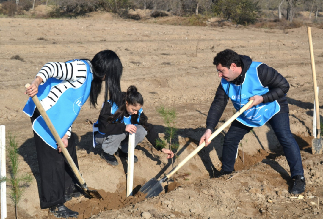 Лейла Алиева организовала акции по посадке деревьев