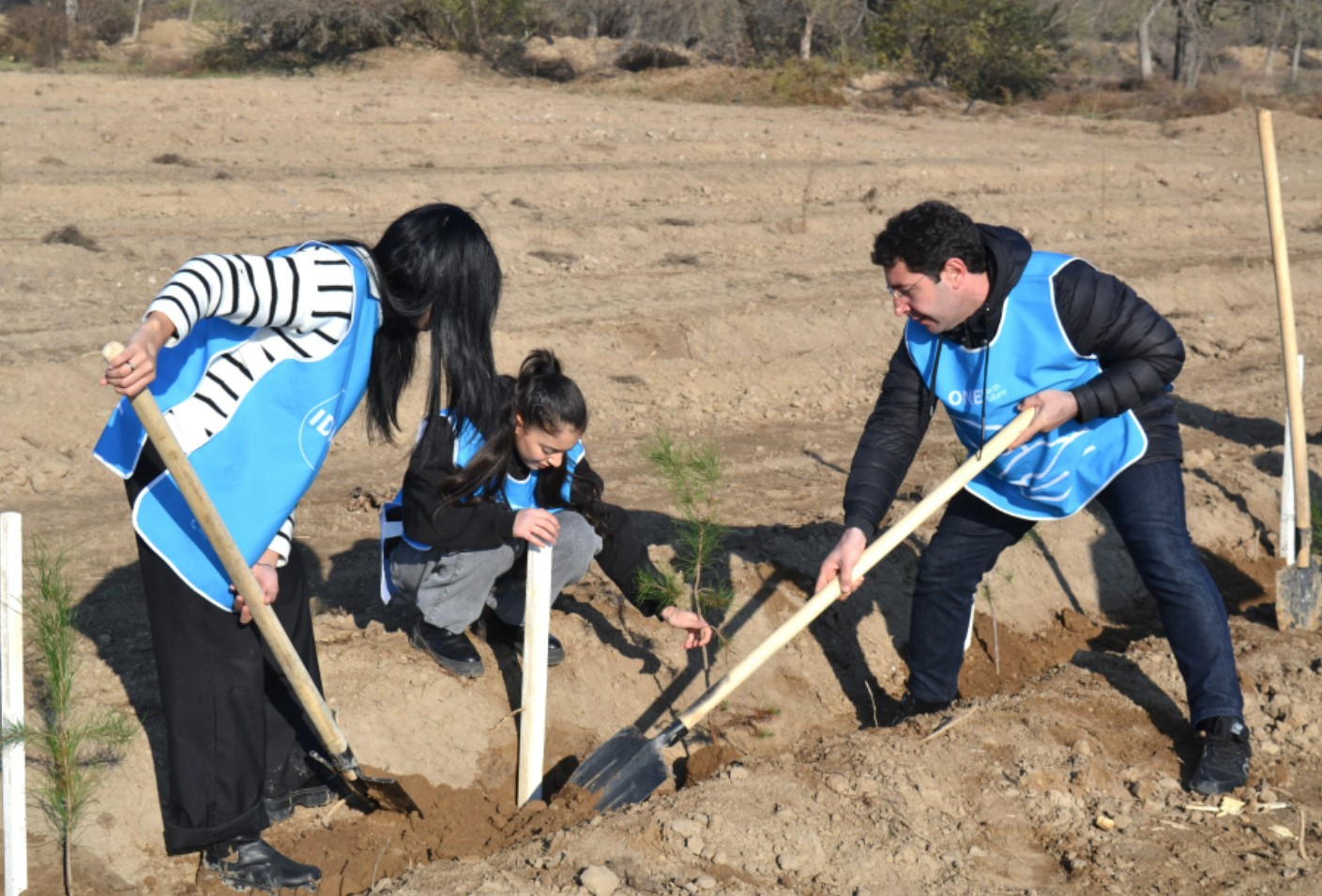 Лейла Алиева организовала акции по посадке деревьев