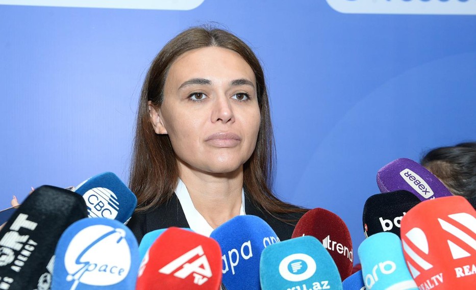 Грузинский медиапроект отметил важность сотрудничества с азербайджанскими СМИ