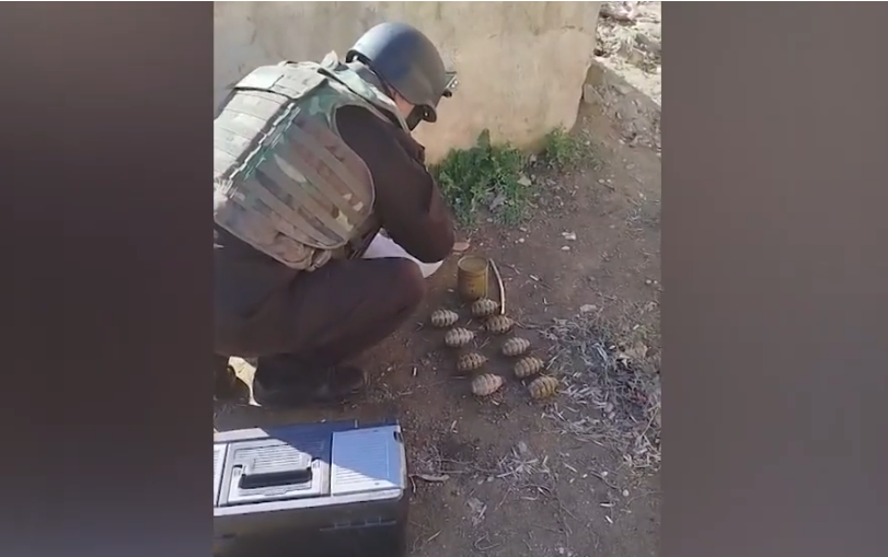 В Баку нашли 10 боевых гранат