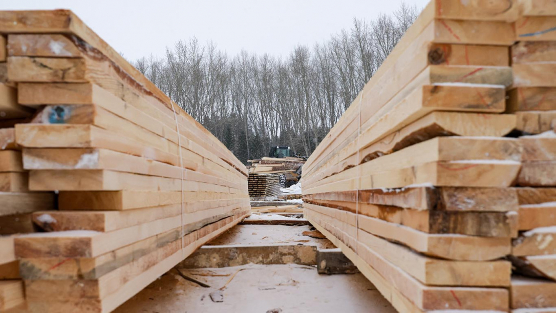 Китай тайно переправляет российскую древесину в Европу