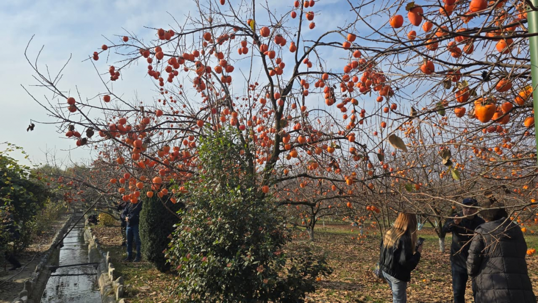 Шекинец показал, как интегрировать сельское хозяйство в туризм