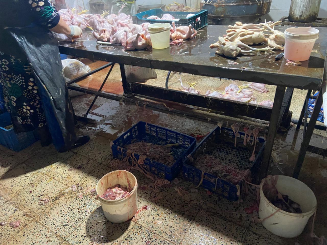 Житель Хырдалана продавал крашеных кур