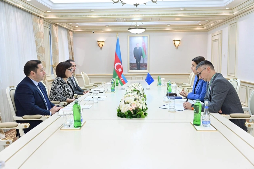 Гафарова указала послу ЕС на предвзятость антииазербайджанских резолюций Европарламента