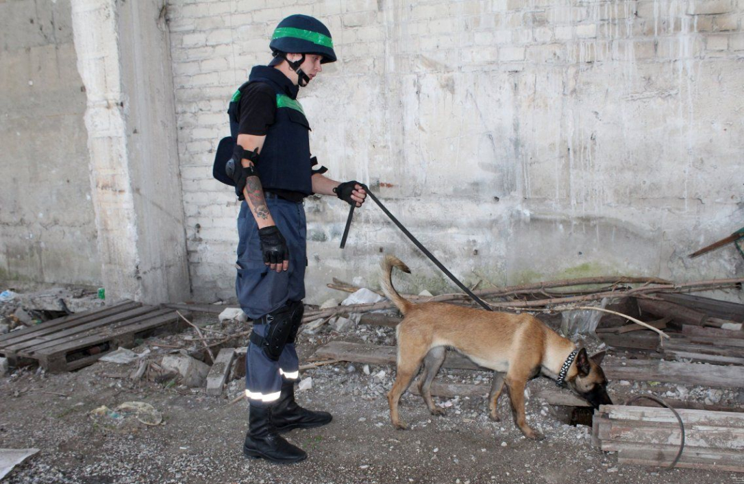 Волна сообщений о минировании госучреждений и учебных заведений в Украине