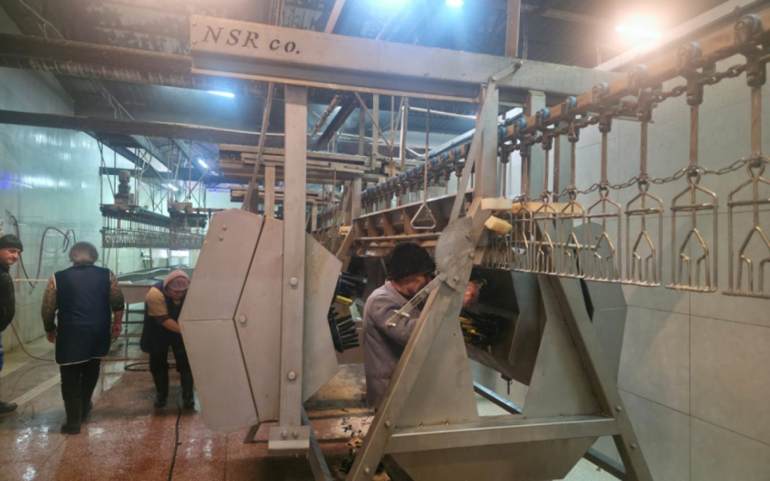 В Новаханы выявлен антисанитарный пункт забоя скота