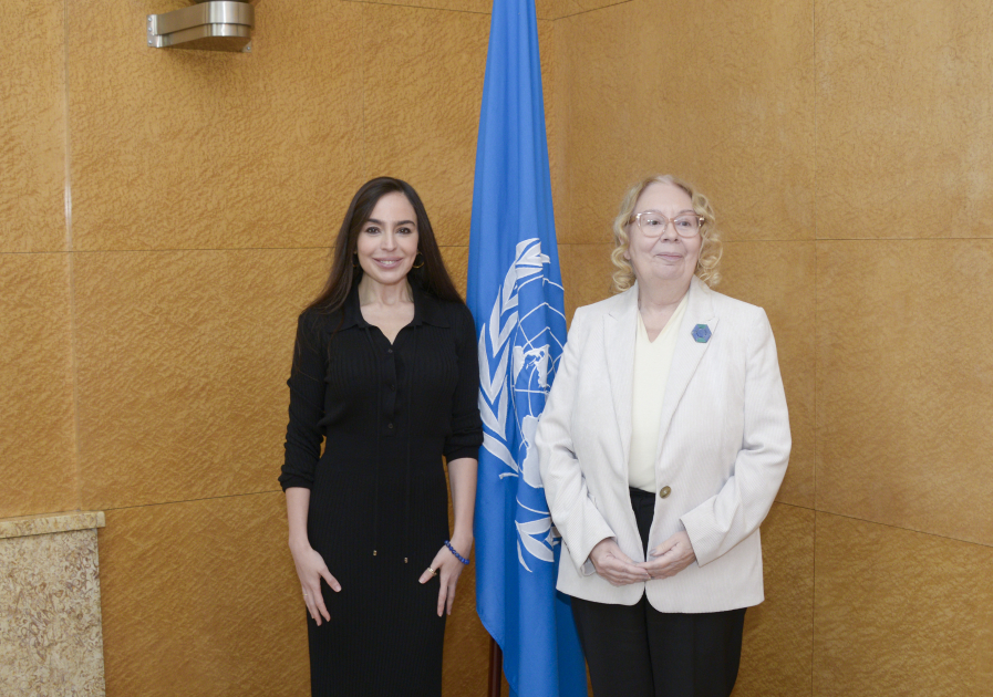 Лейла Алиева обсудила с гендиректором Женевского офиса ООН проблемы Каспия