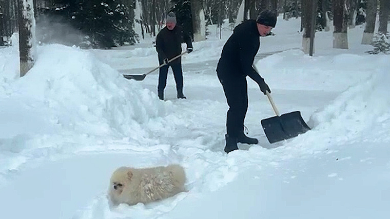 Лукашенко назвал девушкам способ всегда оставаться молодыми и красивыми