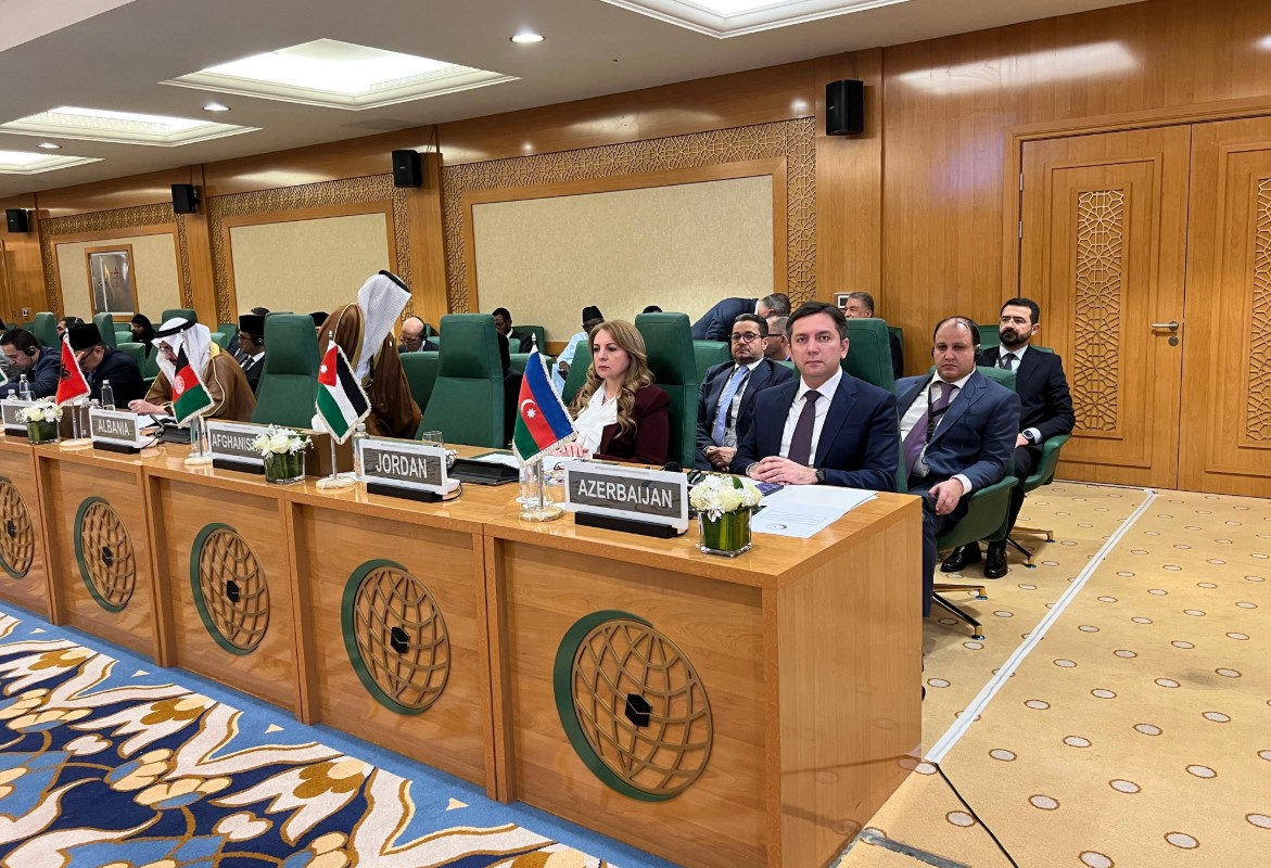 Азербайджан отстаивает суверенитет Сомали на международной арене