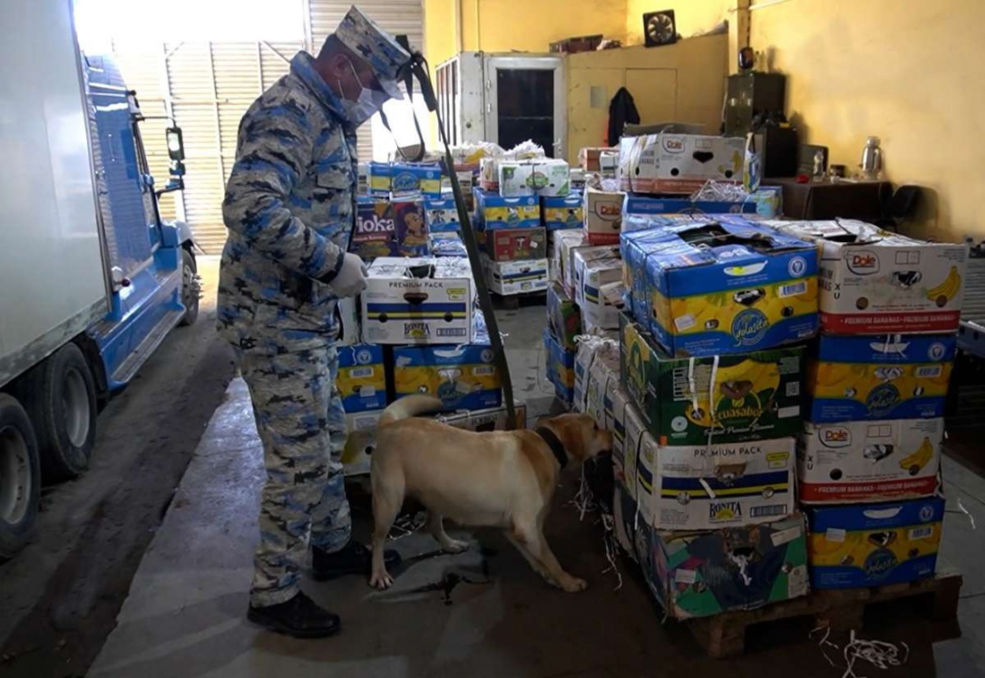 В арбузах из Ирана нашли крупную партию наркотиков