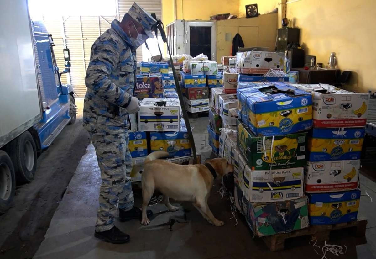 В арбузах из Ирана нашли крупную партию наркотиков 2 В арбузах из Ирана нашли крупную партию наркотиков