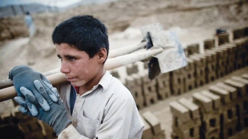 В Азербайджане ужесточат ответственность за детский труд 2 В Азербайджане ужесточат ответственность за детский труд