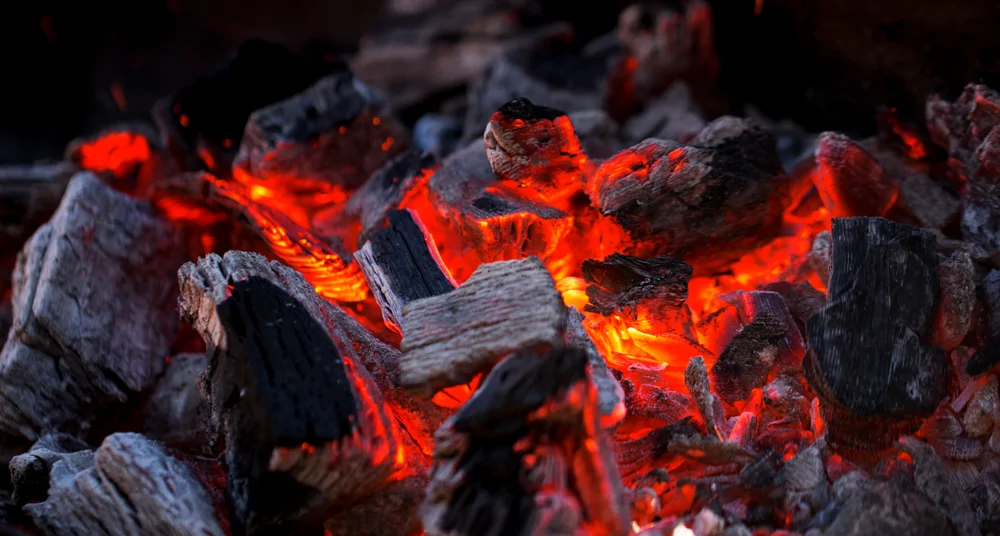 Туристический центр «Шахдаг» закупается к весне крупной партией мангальных углей 1 Туристический центр «Шахдаг» закупается к весне крупной партией мангальных углей