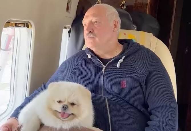 Зеленский: Белому шпицу Лукашенко оставлено больше прав, чем народу Беларуси