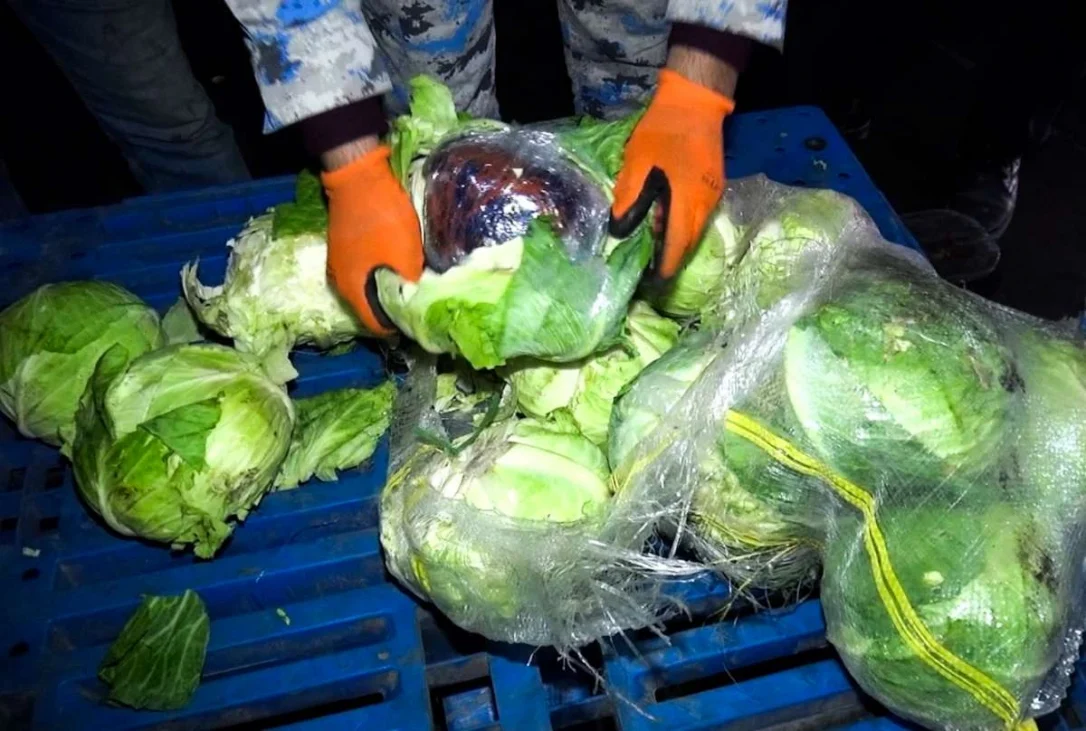 Азербайджанские таможенники нашли марихуану в транзитной капусте