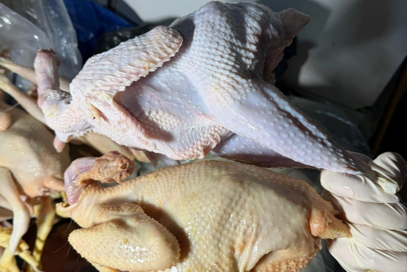 В Хырдалане предотвращена продажа крашенных "деревенских" кур