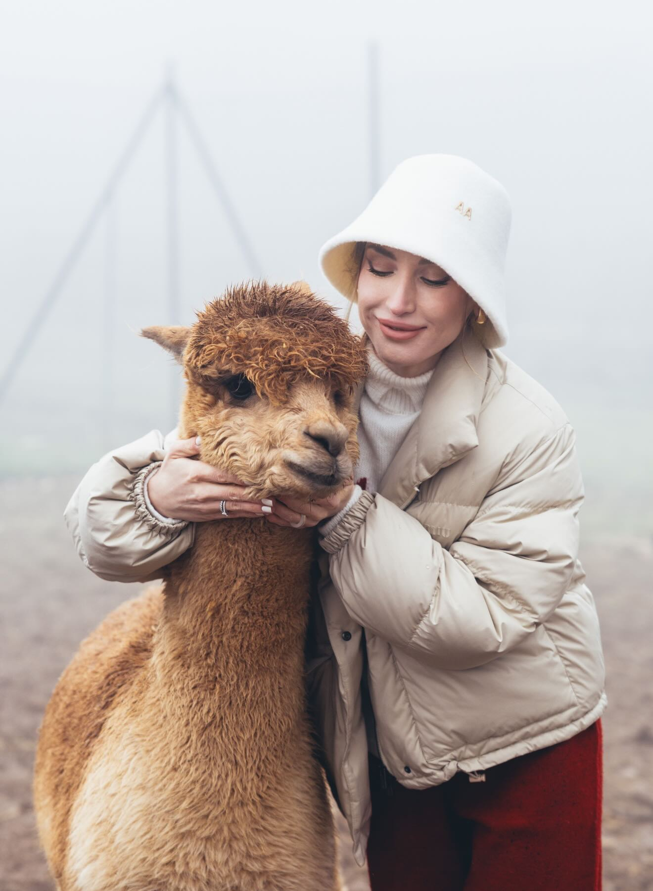 Алена Алиева поделилась фотографиями с альпаками