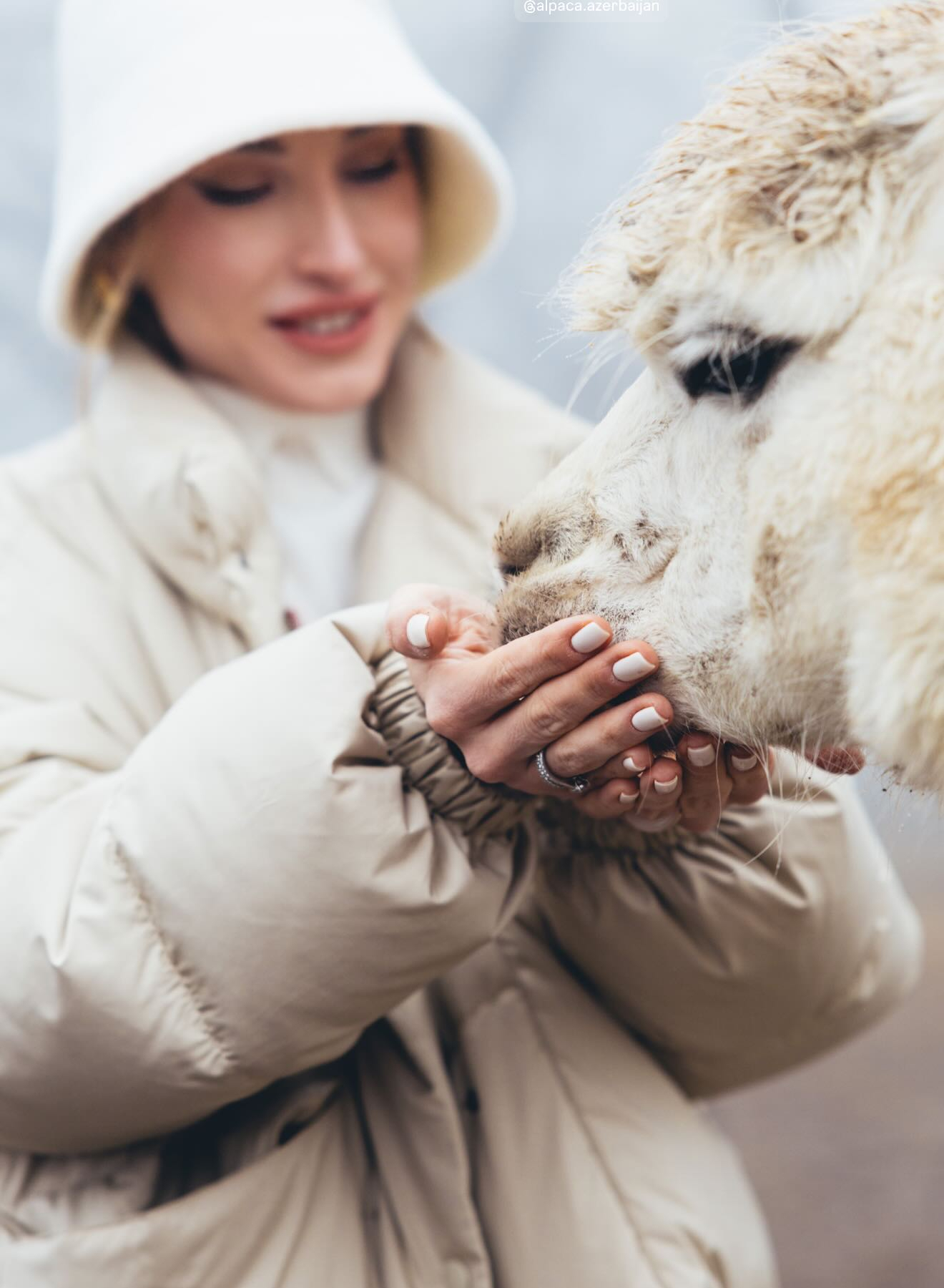 Алена Алиева поделилась фотографиями с альпаками