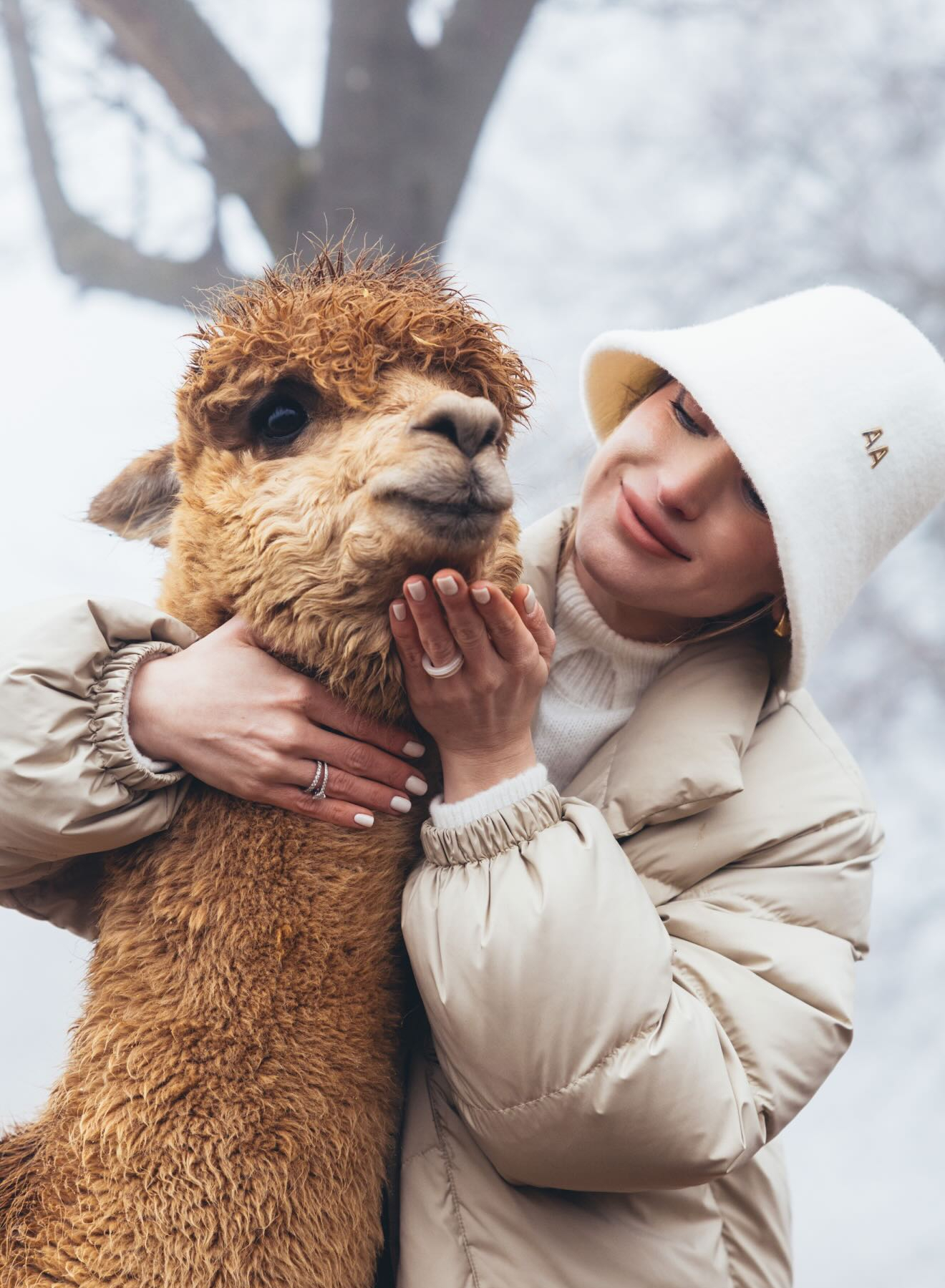 Алена Алиева поделилась фотографиями с альпаками