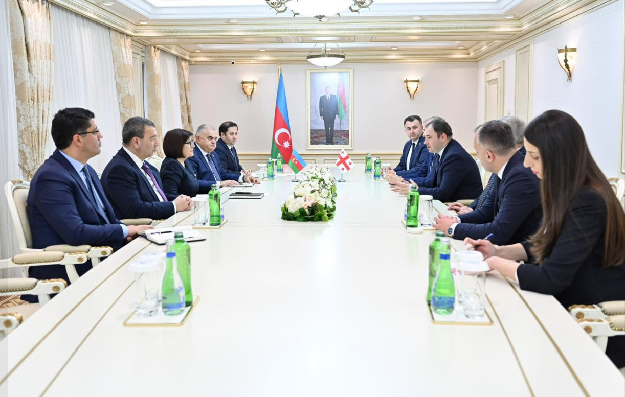 Парламентский диалог Азербайджана и Грузии получил новый импульс