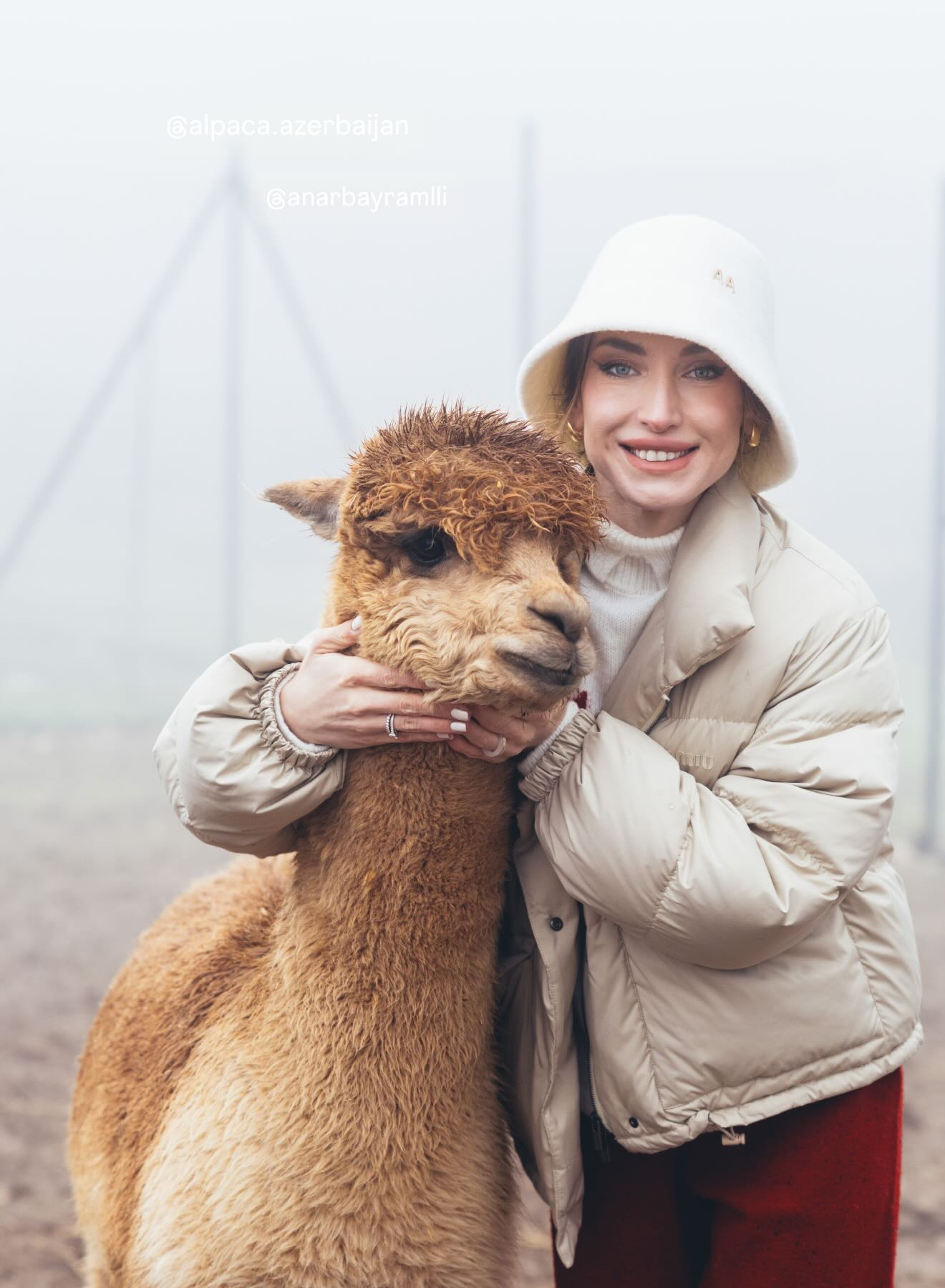 Алена Алиева поделилась фотографиями с альпаками