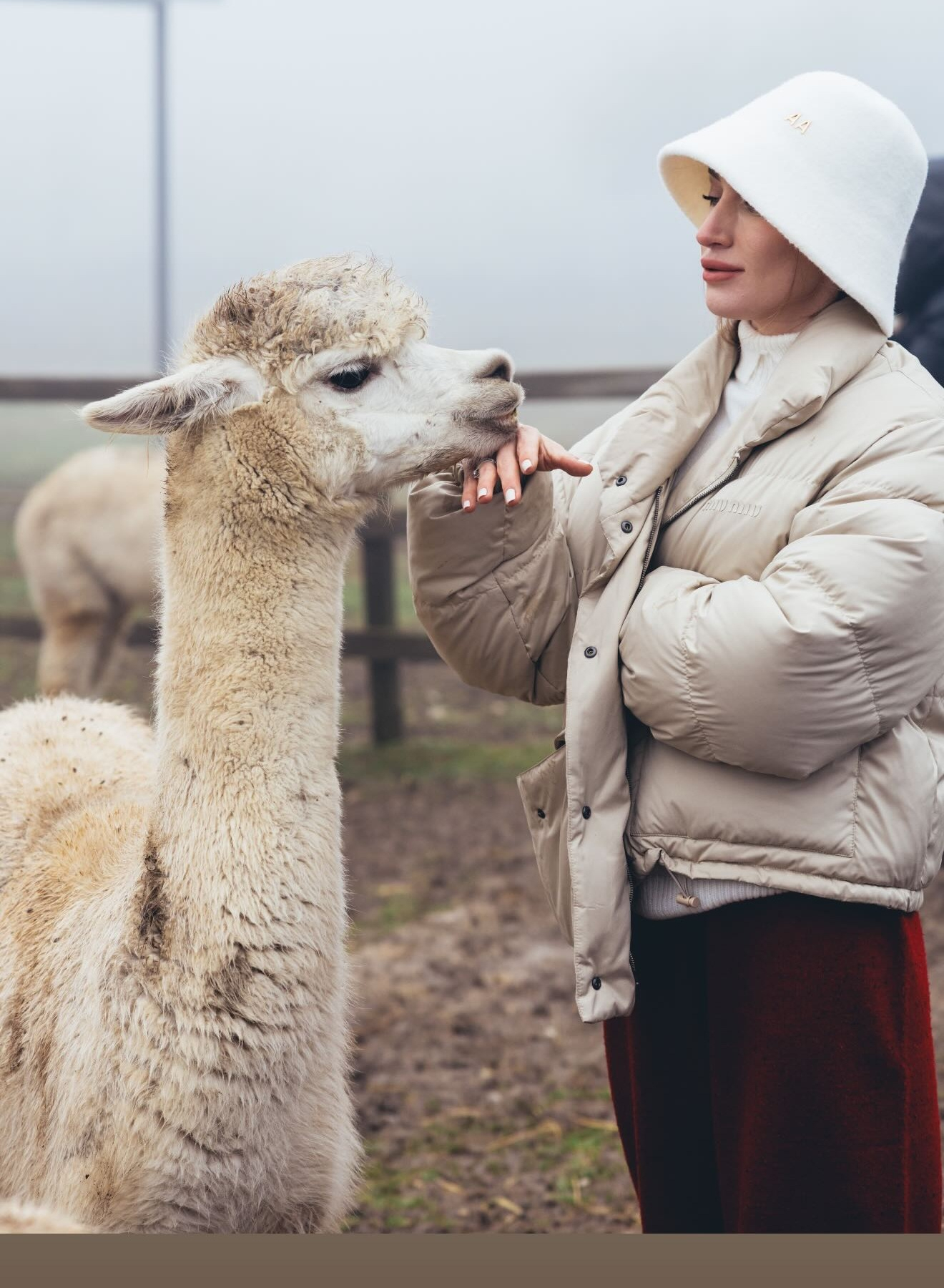 Алена Алиева поделилась фотографиями с альпаками