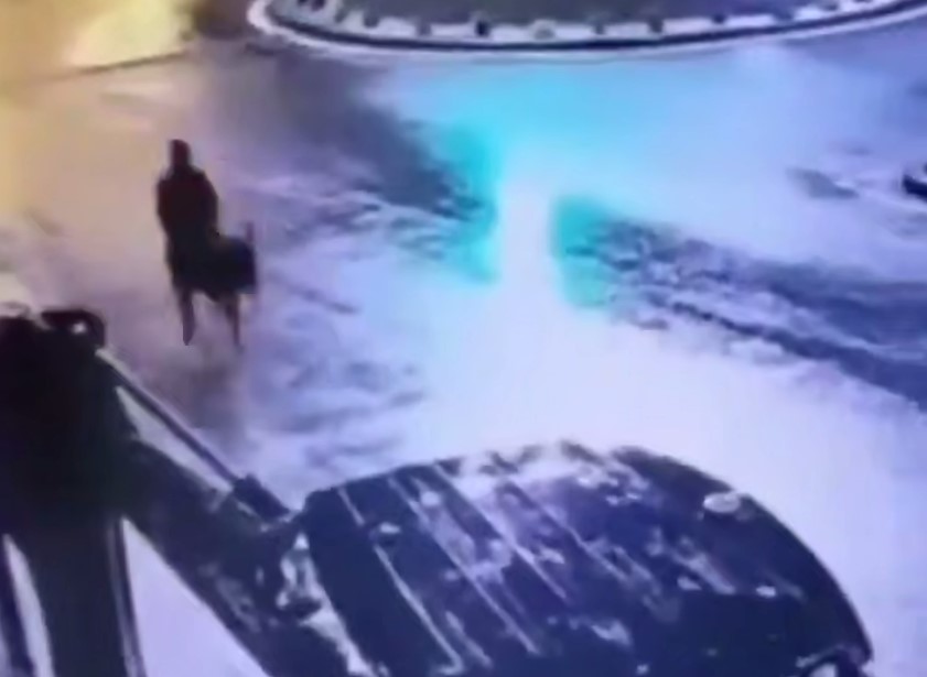 Осел вместо автомобиля: курьезное ограбление в Турции