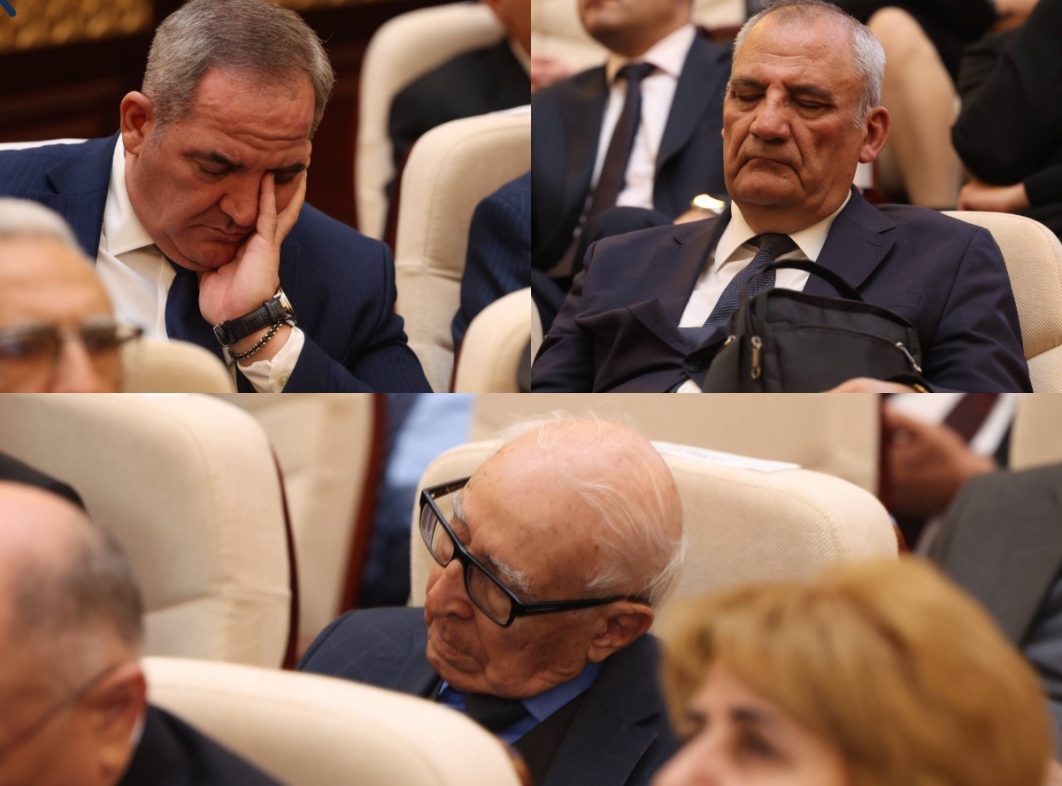 Учёные НАНА заснули прямо на заседании