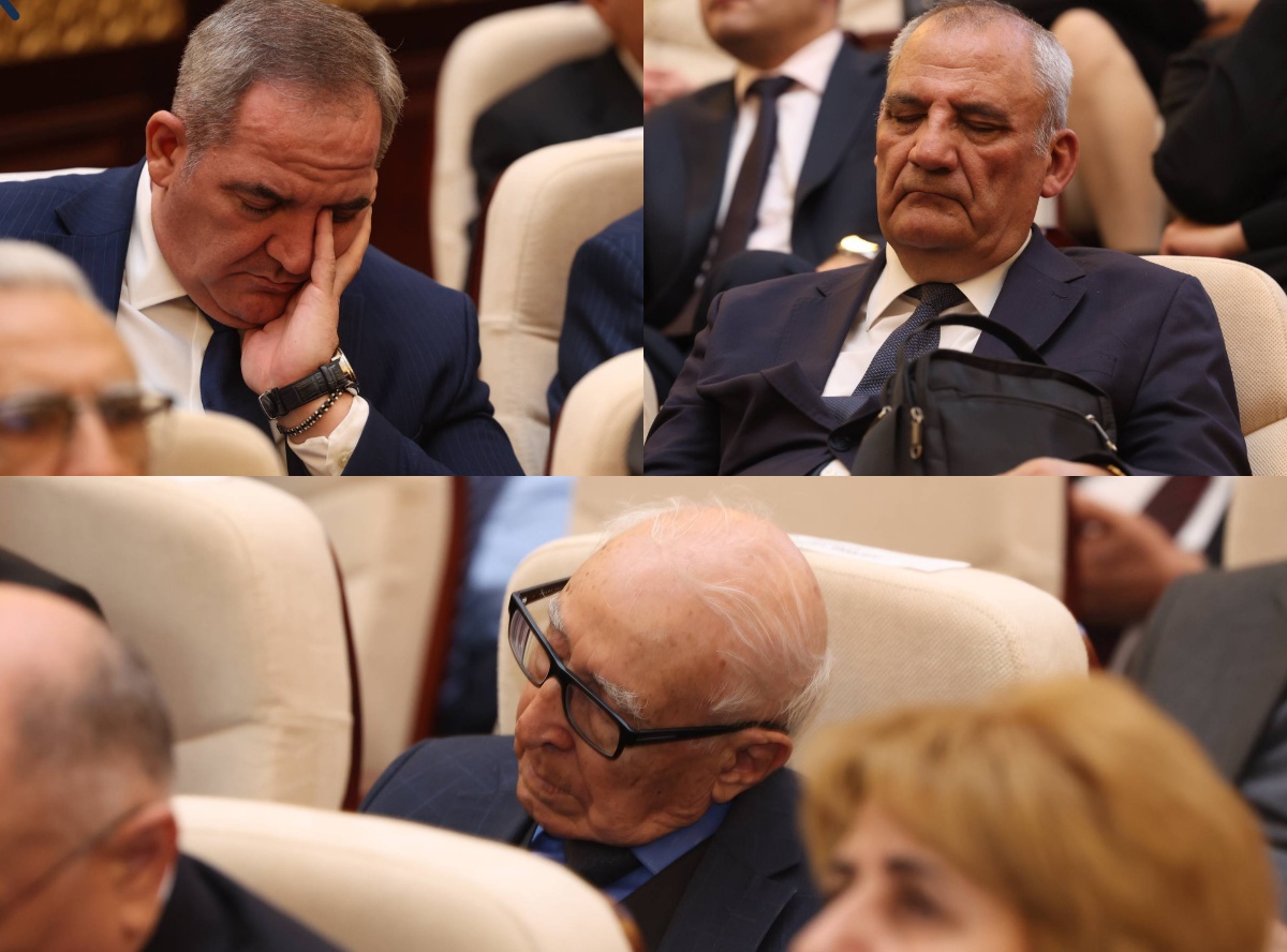 Учёные НАНА заснули прямо на заседании