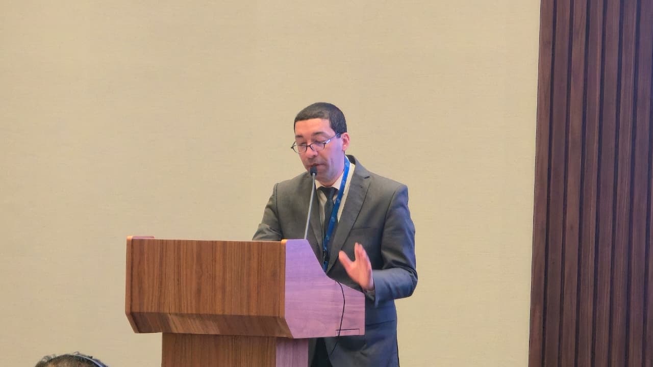 Хичем Дауд: Преодоление колониального наследия требует расширения пространства свободной коммуникации