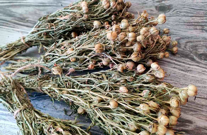 Минздрав предостерег азербайджанцев, балующихся «узерликом» 2 Минздрав предостерег азербайджанцев, балующихся «узерликом»