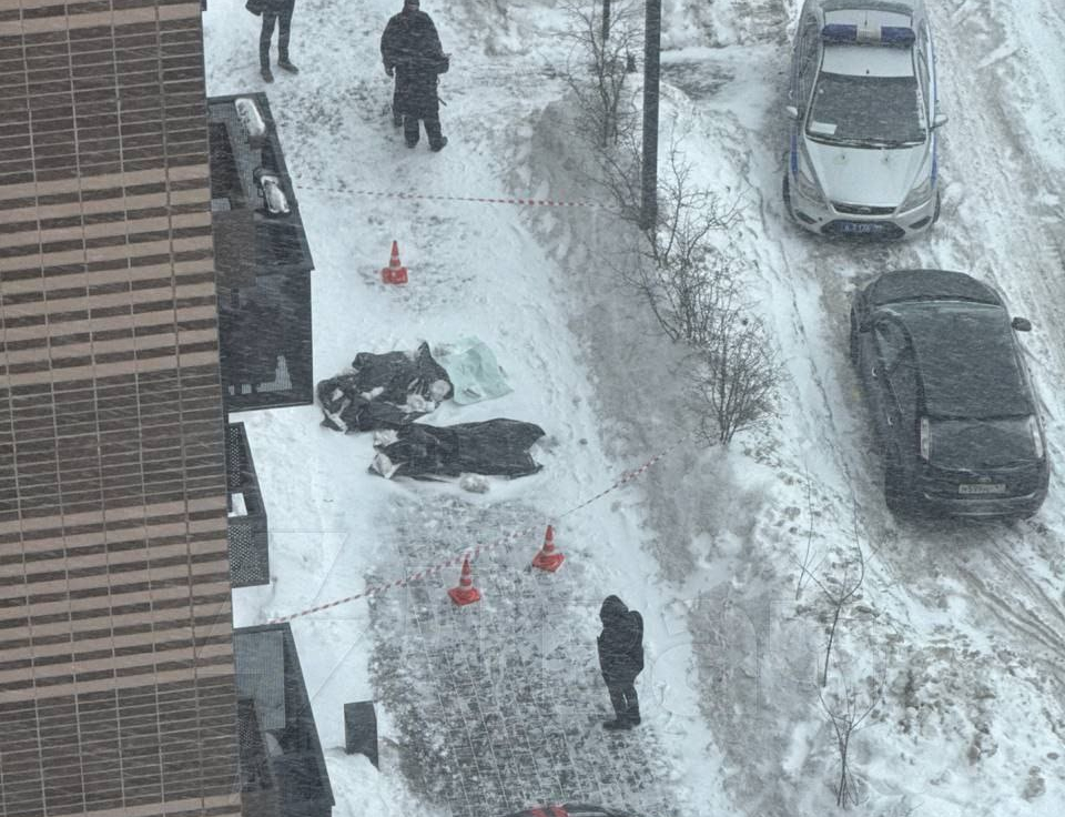 Ужасная гибель супругов-азербайджанцев в Новой Москве. 18+