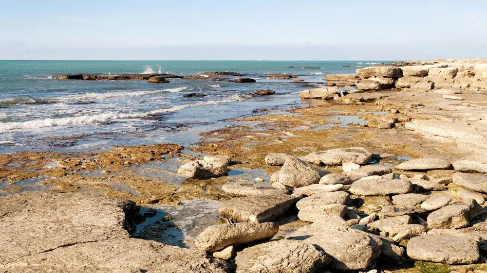 Казахстан выделил около $2,5 млн на сохранение Каспия