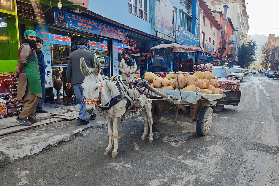 Власти Афганистана будут выдавать ВНЖ в обмен на инвестиции