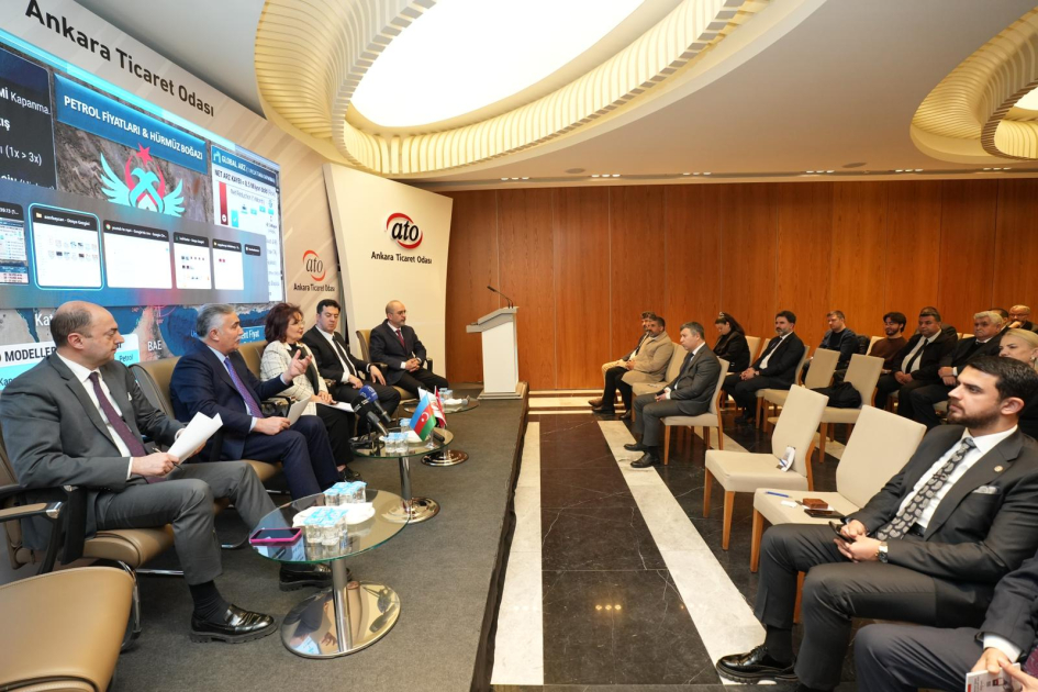 Азербайджан и Турция обсудили сотрудничество в энергетике