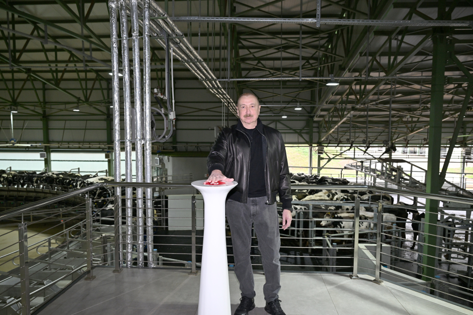 Ильхам Алиев запустил работу первого в регионе животноводческого комплекса «Ширван Агро» с ИИ