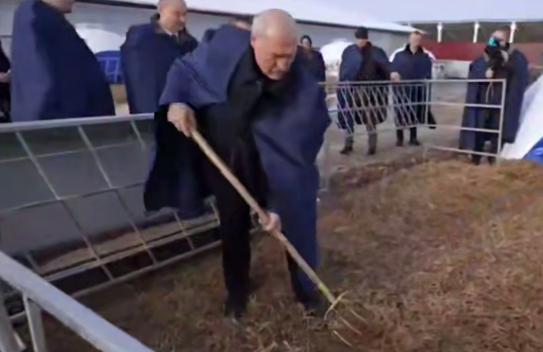 Лукашенко взялся за вилы