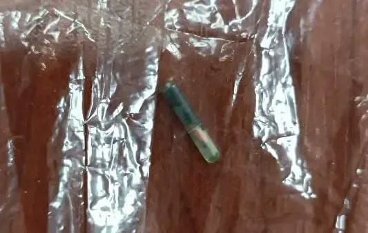 Скандал в Мерсине: мясо лошади-чемпиона оказалось в обедах для нуждающихся