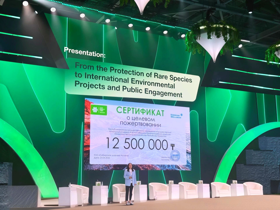 В Казахстане стартует проект по сохранению каспийского тюленя