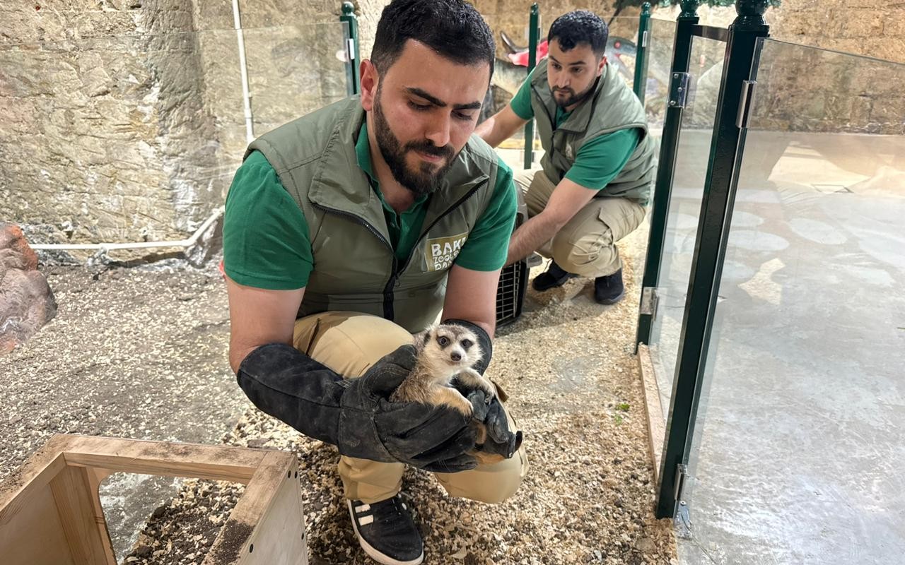 В Баку из детского развлекательного центра изъяли животных
