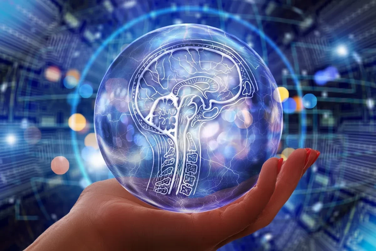 В Азербайджане запускают новую ИИ-платформу 2 В Азербайджане запускают новую ИИ-платформу