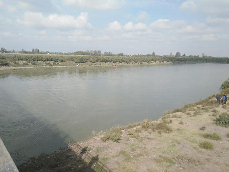 Подъём уровня Куры привёл к ЧП в Сабирабаде