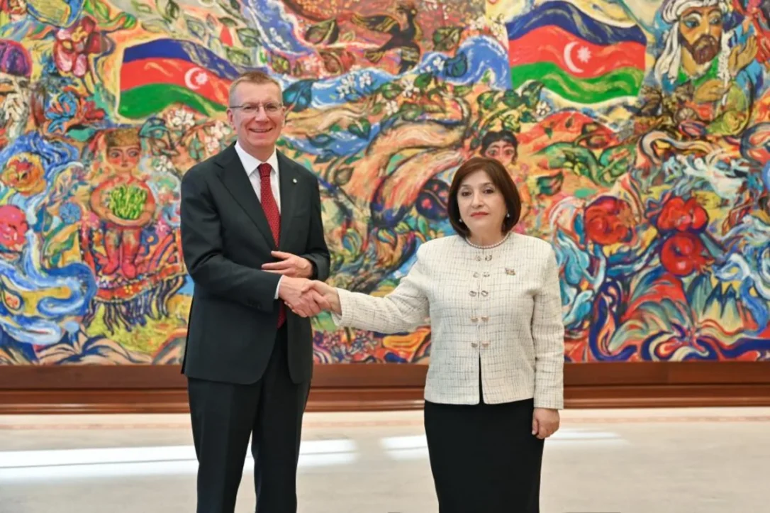 Гафарова и Ринкевичс обсудили развитие межпарламентских связей