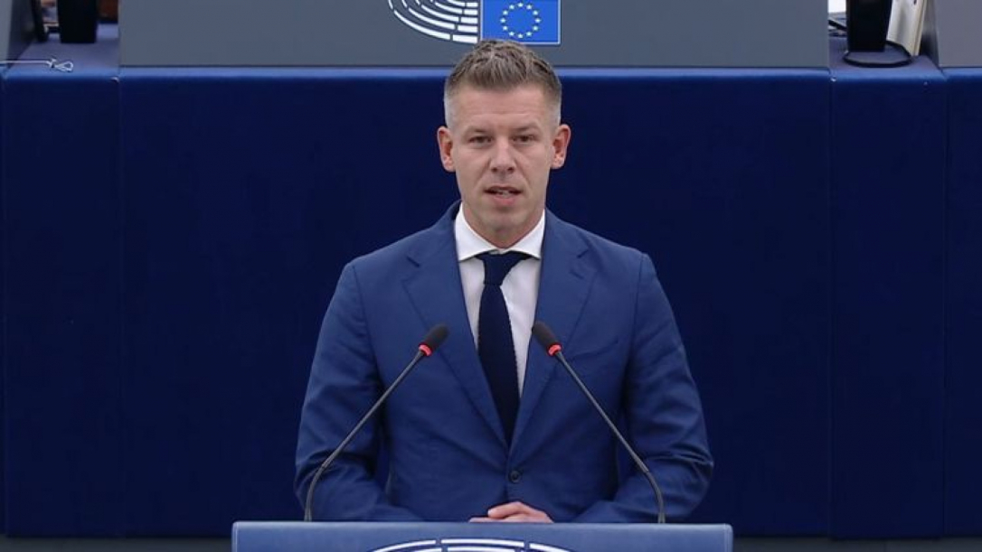 Сын Сороса и Илон Маск по-разному отреагировали на победу Мадьяра