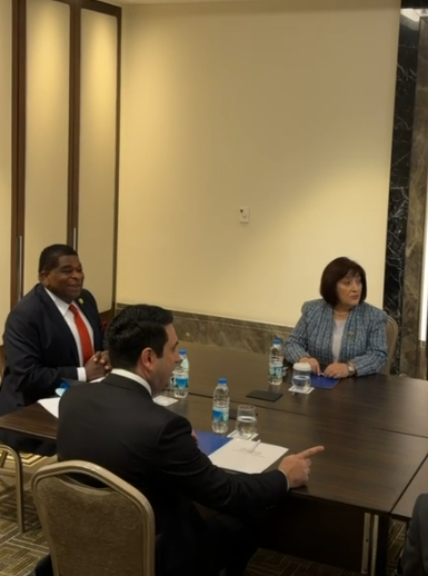 Гафарова и Симонян проводят встречу