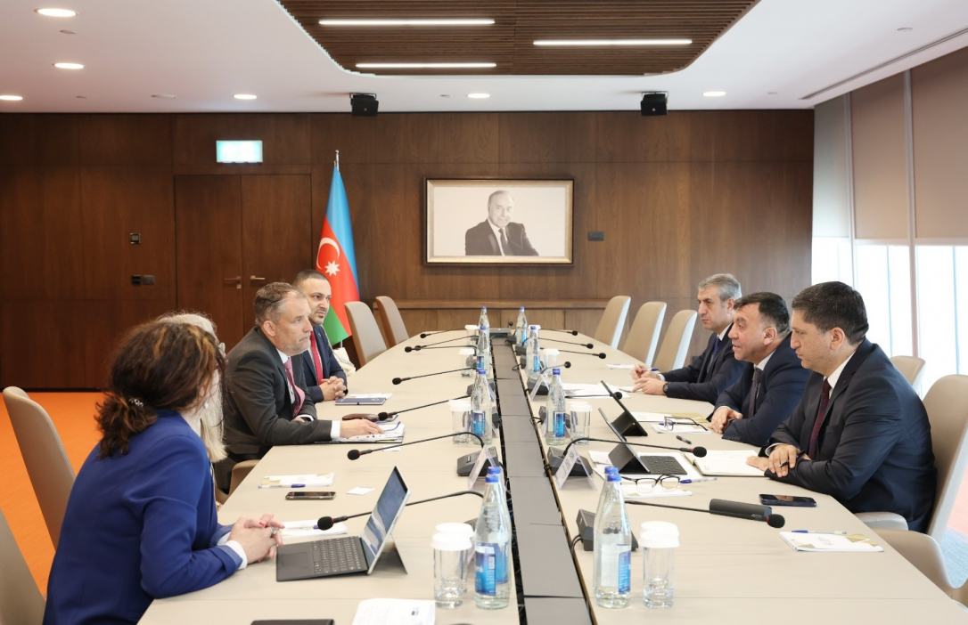 Баку и Берлин обсудили экономическое сотрудничество