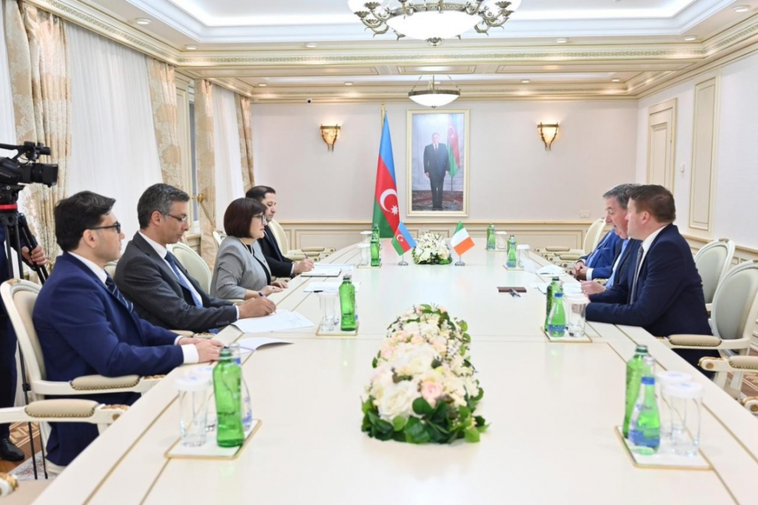 Баку и Дублин обсудили развитие межпарламентского сотрудничества