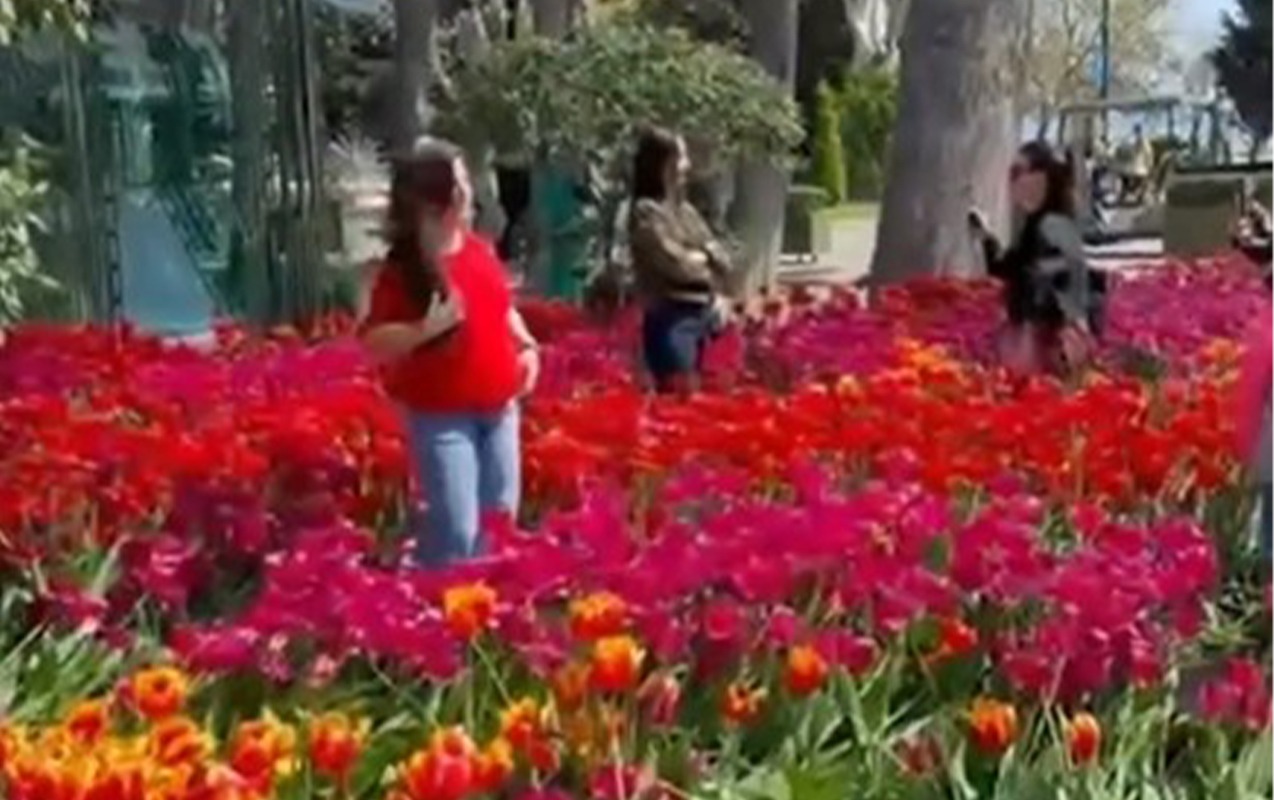 Вандалов, повредивших цветы в парке Баку, привлекут к ответственности