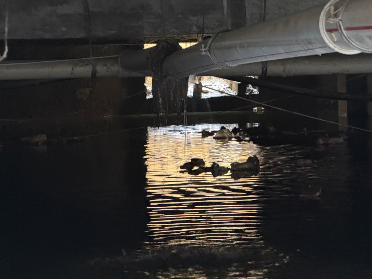 Дома Абшерона спасают от подтоплений