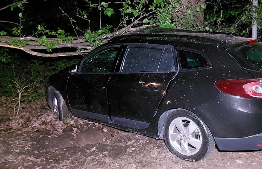 В Лянкяране автомобиль врезался в дерево: есть погибший